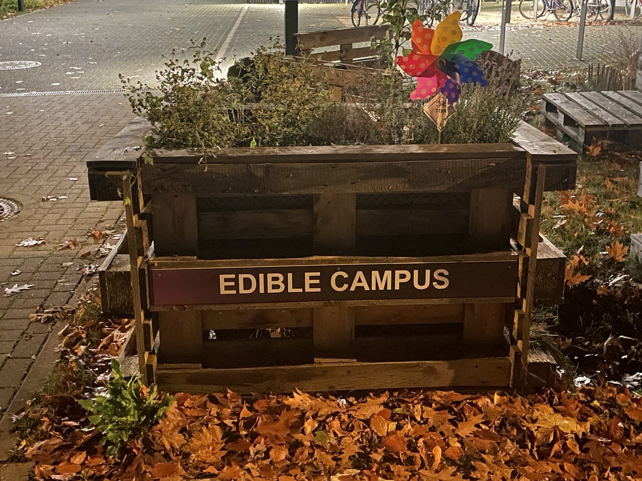 Edible campus in DESY
